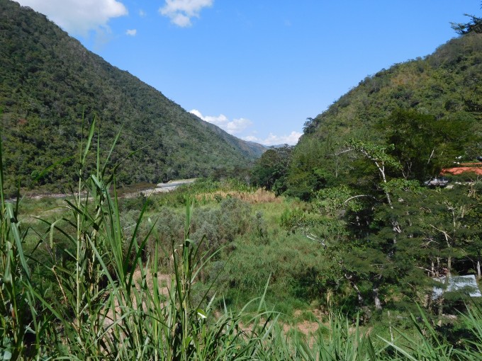peru dungle vetsi M