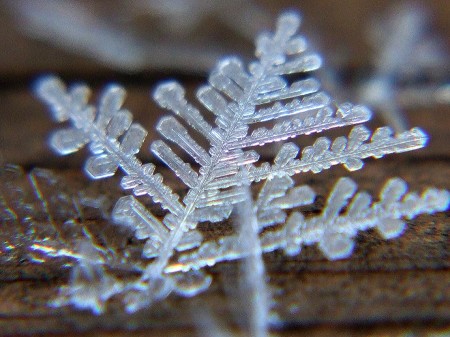 snowflake